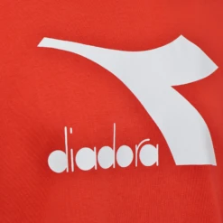 FELPA CON CAPPUCCIO UOMO DIADORA HOODIE BIG LOGO ARANCIO 5 FELPA CON CAPPUCCIO UOMO DIADORA HOODIE BIG LOGO ARANCIO -Attiva Moda Negozio 0037047 felpa con cappuccio uomo diadora hoodie big logo arancio