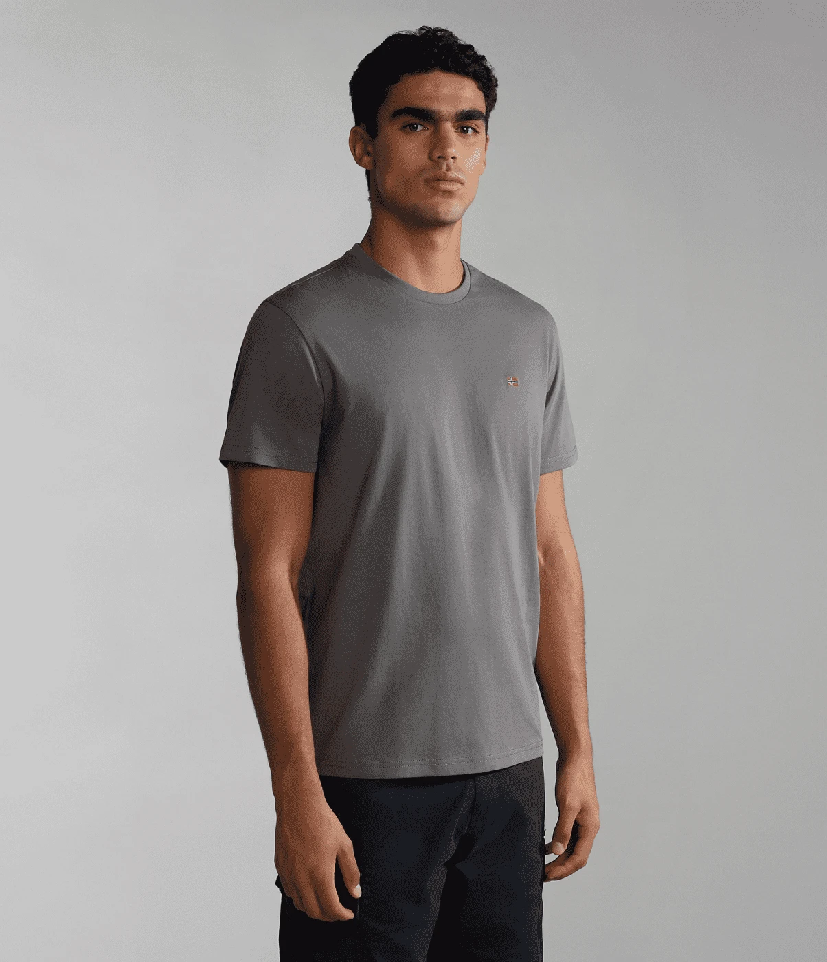 T-SHIRT A MANICA CORTA DA UOMO NAPAPIJRI SALIS SUM GRAY GRANIT H31 NP0A4H8D H31 3 T-SHIRT A MANICA CORTA DA UOMO NAPAPIJRI SALIS SUM GRAY GRANIT H31 NP0A4H8D H31 - immagine 3