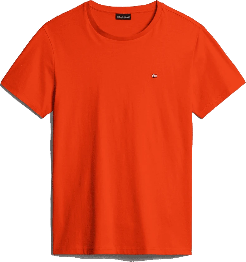 T-SHIRT A MANICA CORTA DA UOMO NAPAPIJRI SALIS SUM RED CHERRY R05 NP0A4H8D R05 1 T-SHIRT A MANICA CORTA DA UOMO NAPAPIJRI SALIS SUM RED CHERRY R05 NP0A4H8D R05