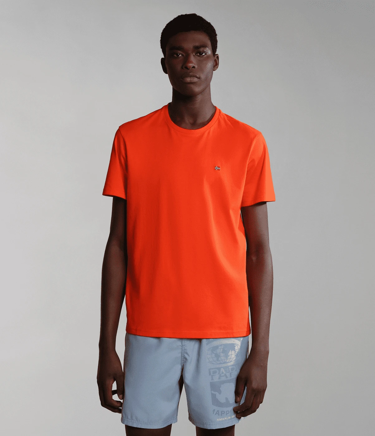 T-SHIRT A MANICA CORTA DA UOMO NAPAPIJRI SALIS SUM RED CHERRY R05 NP0A4H8D R05 3 T-SHIRT A MANICA CORTA DA UOMO NAPAPIJRI SALIS SUM RED CHERRY R05 NP0A4H8D R05 - immagine 3