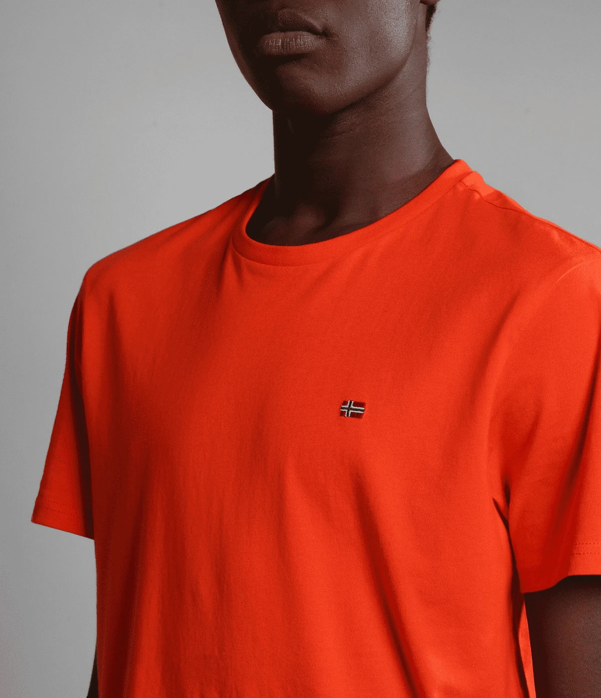 T-SHIRT A MANICA CORTA DA UOMO NAPAPIJRI SALIS SUM RED CHERRY R05 NP0A4H8D R05 6 T-SHIRT A MANICA CORTA DA UOMO NAPAPIJRI SALIS SUM RED CHERRY R05 NP0A4H8D R05 - immagine 6