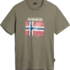 T-SHIRT A MANICA CORTA DA UOMO NAPAPIJRI S-GUIRO GREEN LICHEN NP0A4H22 GAE