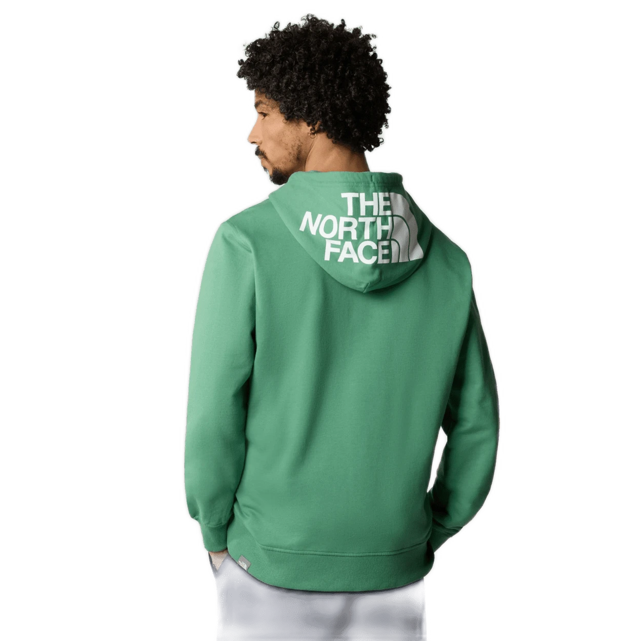 FELPA DA UOMO THE NORTH FACE DREPEAK PO LT DEEP GRASSGREEN NF0A2S57 N11 3 FELPA DA UOMO THE NORTH FACE DREPEAK PO LT DEEP GRASSGREEN NF0A2S57 N11 - immagine 3